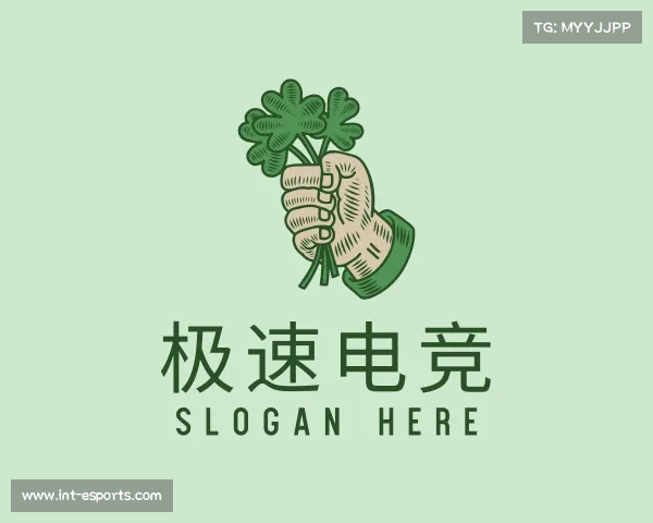 认识极速电竞